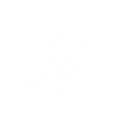 CTECH